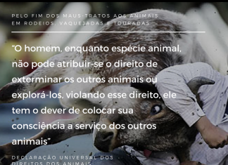 Projeto de Lei decide sobre a proibição de maus-tratos aos animais