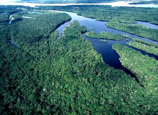 É necessário pensar globalmente e agir localmente