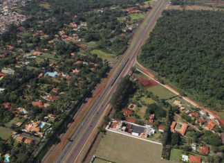 Aniversário da Mata de Santa Tereza: pouco a comemorar