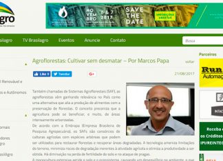 Marcos Papa compõe quadro de articulistas do site BrasilAgro