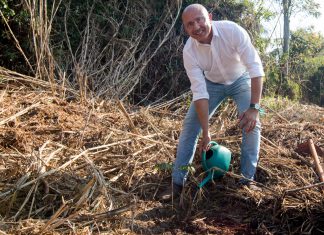 Marcos Papa planta a primeira muda do processo de recuperação da Mata de Santa Tereza