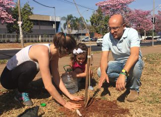 Em comemoração ao Dia da Árvore, Marcos Papa faz plantio simbólico na Henry Nestlé
