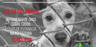 CEE da Eutanásia ouvirá ONGs de proteção animal nesta quinta-feira (15)