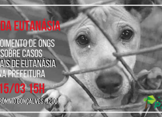 CEE da Eutanásia ouvirá ONGs de proteção animal nesta quinta-feira (15)