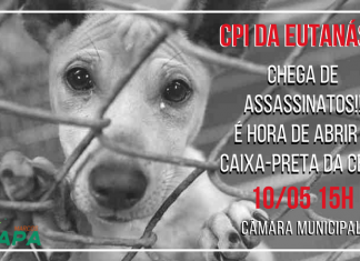 CPI da Eutanásia ouvirá veterinários da CBEA nesta quinta-feira (10)