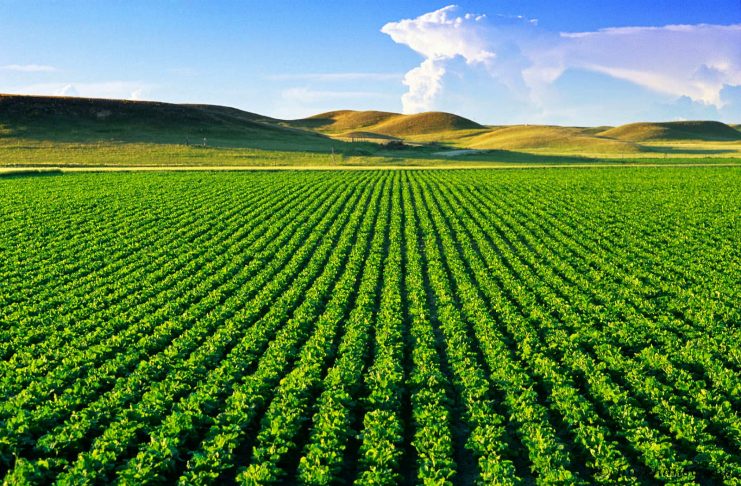 Proposta por Marcos Papa, Frente do Agronegócio Sustentável é aprovada