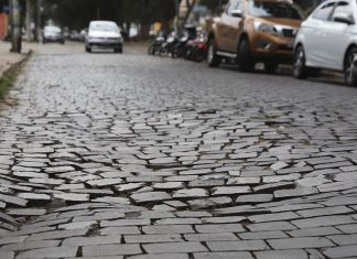 Marcos Papa defende revitalização da avenida 9 de Julho