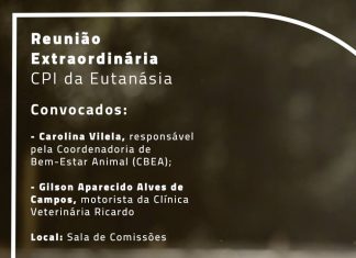 Eutanásia em cavalo faz CPI realizar reunião extraordinária