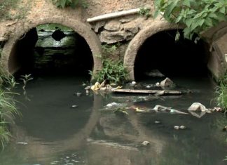 Marcos Papa propõe Lei de Responsabilidade Sanitária