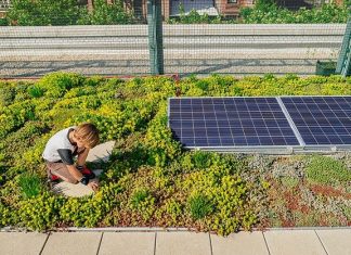 Por desenvolvimento sustentável, Papa faz sugestões ao Código de Obras