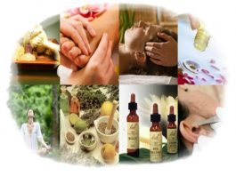 Práticas Integrativas e Complementares: sancionada Lei que atualiza ProPIC