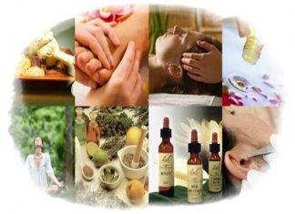 Práticas Integrativas e Complementares: sancionada Lei que atualiza ProPIC