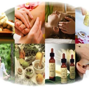 Práticas Integrativas e Complementares: sancionada Lei que atualiza ProPIC