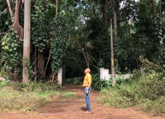 Marcos Papa repudia abandono de parques e cobra solução