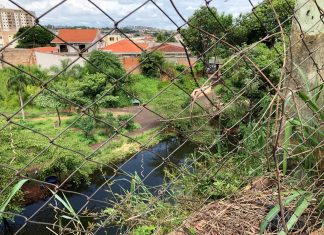 Marcos Papa denuncia risco à saúde pública no Parque Roberto Genaro