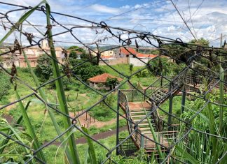 Papa questiona qualificação de OSs para parques