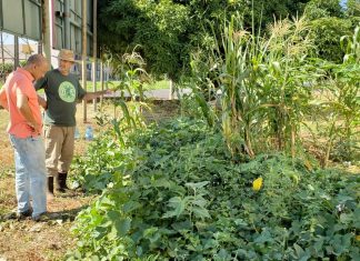 Reunião debaterá regulamentação das Hortas Urbanas
