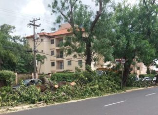 Papa ataca extrações na Avenida do Café e cobra técnico
