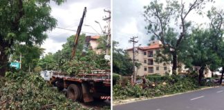 Papa vai à Justiça contra extrações na Av. do Café