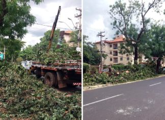 Papa vai à Justiça contra extrações na Av. do Café