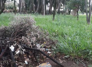 Papa cobra manutenção de áreas verdes e realocação da CLU