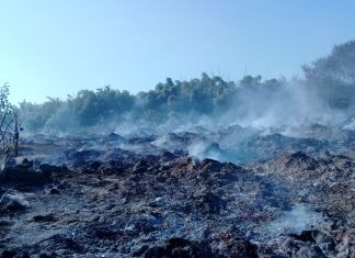 Por suspeita de incêndio criminoso, Papa aciona Gaema