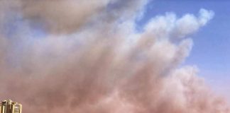 Comissão cobra medidas emergenciais contra queimadas