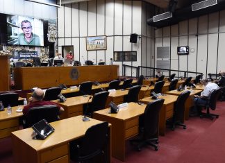 Papa defende integração de ações para combate a incêndios