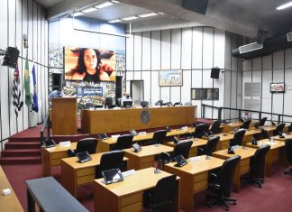 CEE de Saúde Mental debate subnotificação de tentativas de suicídio