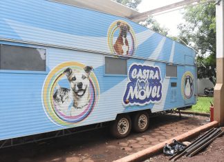 Após pressão, CBEA adquire veículo, mas castramóvel segue parado