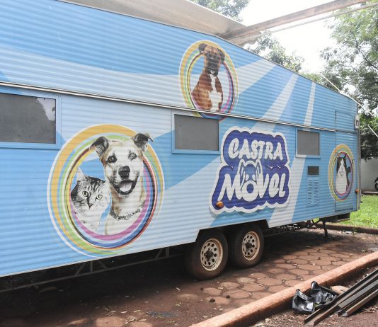 Após pressão, CBEA adquire veículo, mas castramóvel segue parado