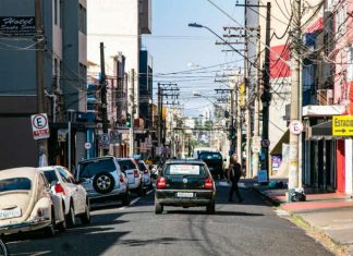 Papa propõe arborização por meio de adoção das vias públicas