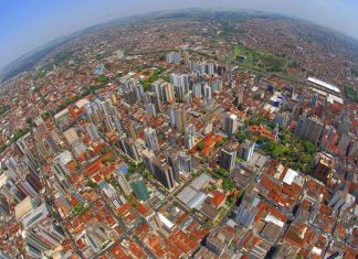 Abaixo-assinado: arborização em Ribeirão Preto já!