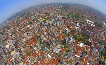Abaixo-assinado: arborização em Ribeirão Preto já!
