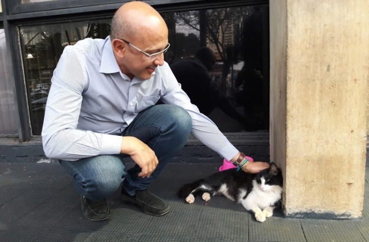 Abril Laranja: Papa quer mês de prevenção à crueldade contra animais