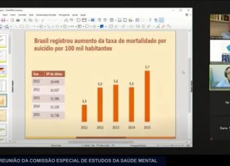 Relatório final da CEE da Saúde Mental será apresentado nesta terça (22)