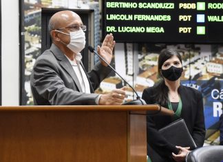 ‘Precisamos agir em harmonia com a sociedade sempre’, diz Papa