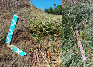 Por crime ambiental, Papa denuncia Prefeitura no Ministério Público