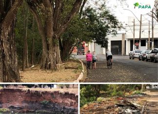 Audiência Pública debaterá situação da Avenida Parque Guido Golfeto