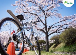 Comissão de Meio Ambiente e Mobilidade promoverá reuniões mensais