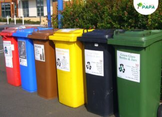 Comissão de Meio Ambiente debaterá a situação da coleta seletiva