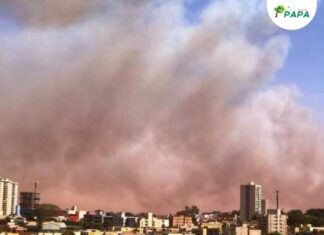 Prevenção a queimadas volta a pauta da Comissão de Meio Ambiente