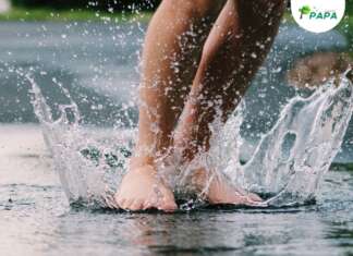 Comissão de Meio Ambiente debaterá sobre a Água nesta 4ª