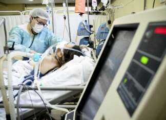 Derrubado veto à Lei de Papa que dá transparência na fila por leitos Covid