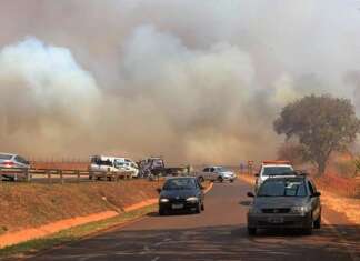 Bombeiros: Papa quer que ocorrências virem auto de infração