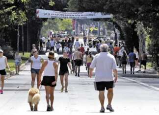 Marcos Papa quer instituir o Programa Ruas Vivas