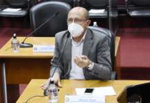 Cavalos soltos: Papa ataca Prefeitura por ‘morte anunciada’