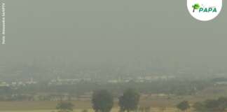 Câmara debaterá a qualidade do ar em reunião no dia 15