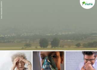 Câmara debaterá a qualidade do ar em reunião no dia 15