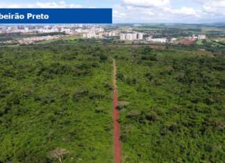 Papa propõe Moção de Aplausos pelos 37 anos da Mata de Santa Tereza